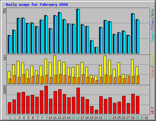 Daily usage for February 2020