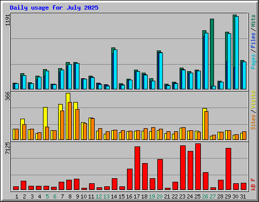 Daily usage for July 2025