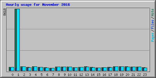 Hourly usage for November 2016