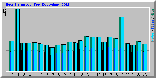 Hourly usage for December 2016