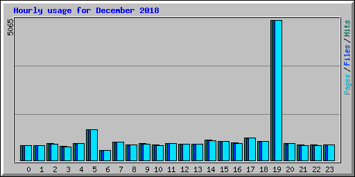 Hourly usage for December 2018