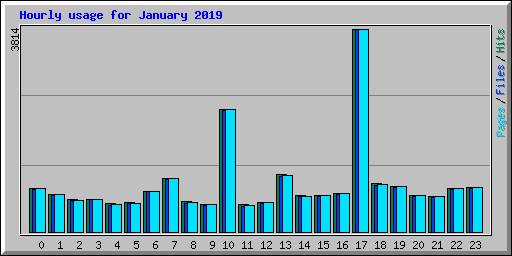 Hourly usage for January 2019