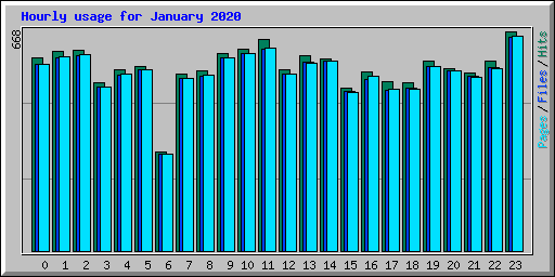 Hourly usage for January 2020