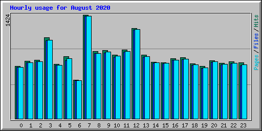 Hourly usage for August 2020