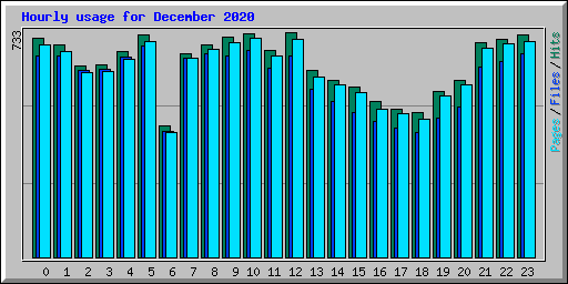 Hourly usage for December 2020