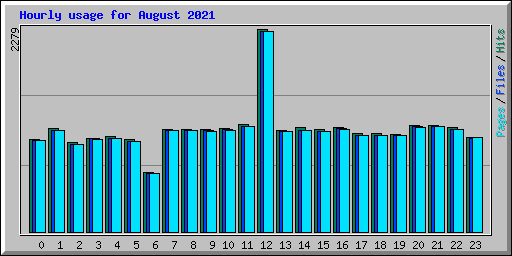 Hourly usage for August 2021
