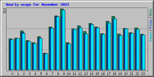 Hourly usage for November 2023