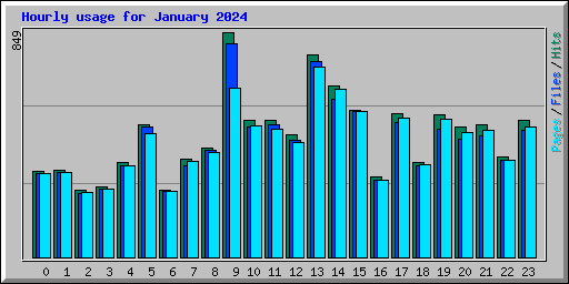 Hourly usage for January 2024