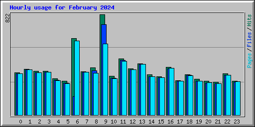 Hourly usage for February 2024