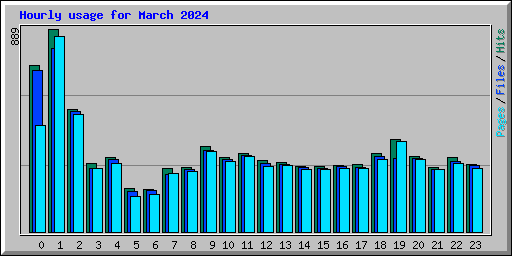 Hourly usage for March 2024