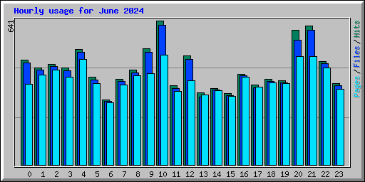 Hourly usage for June 2024