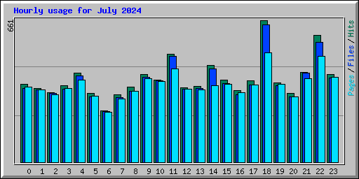 Hourly usage for July 2024