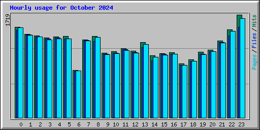 Hourly usage for October 2024