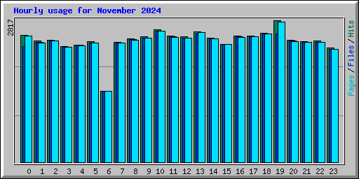 Hourly usage for November 2024
