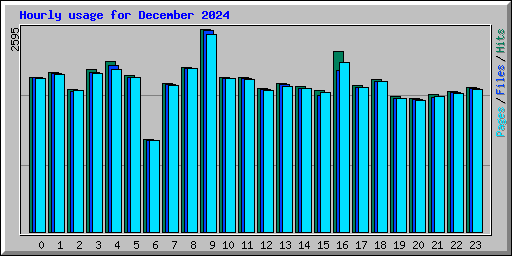 Hourly usage for December 2024