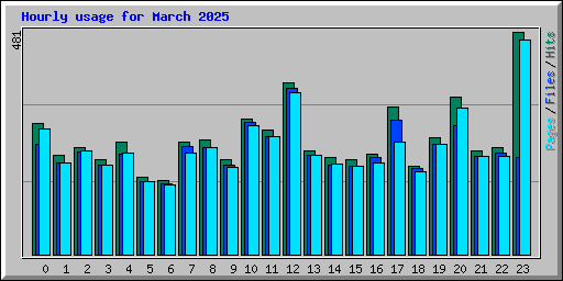 Hourly usage for March 2025