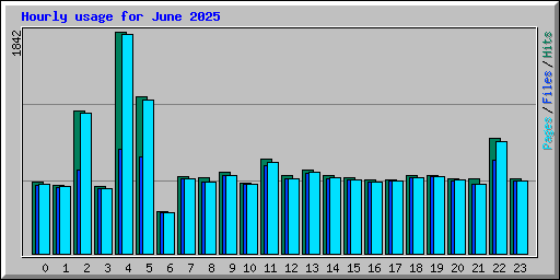 Hourly usage for June 2025