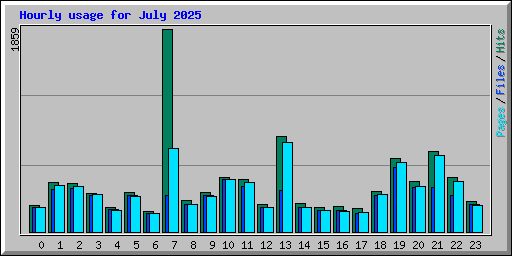Hourly usage for July 2025
