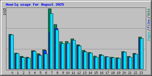 Hourly usage for August 2025